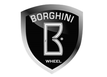 Picture for manufacturer BORGHINI